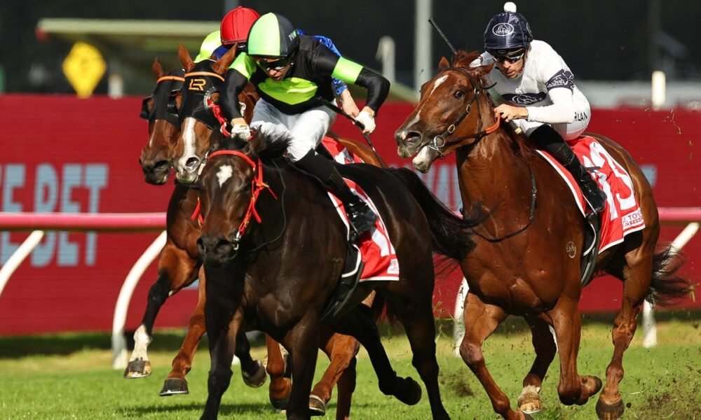 5acc192eb0e69f95a8b4f40fd8f75e5a Daily Global Diary - Authentic Global News