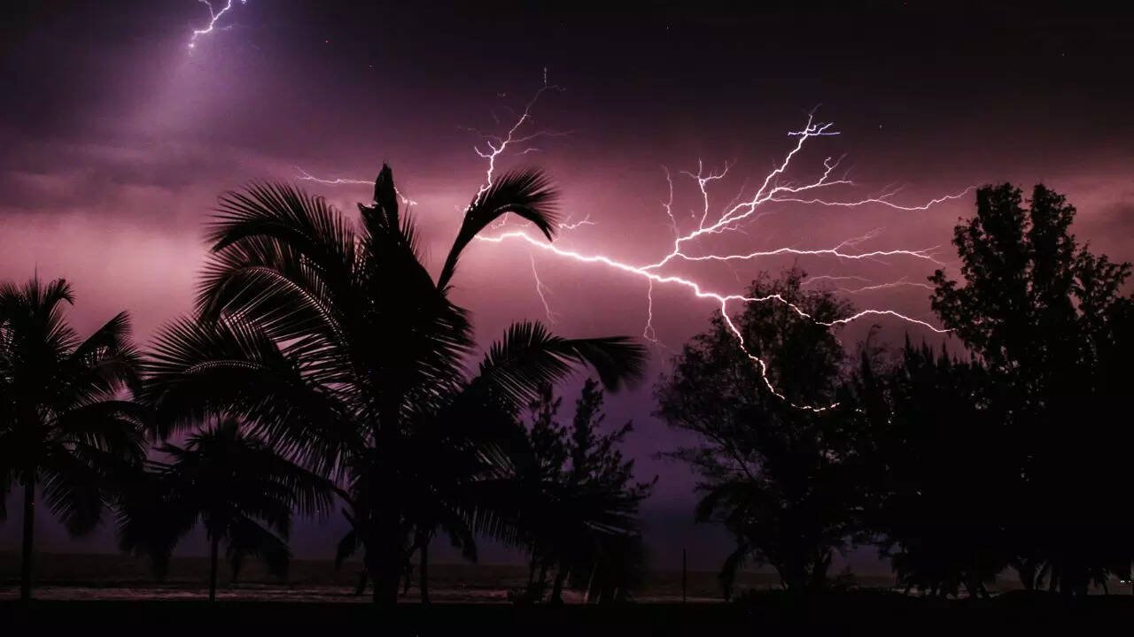Central NC Storms: Trees Down, 7,000 Lightning Strikes and Widespread Power Outages