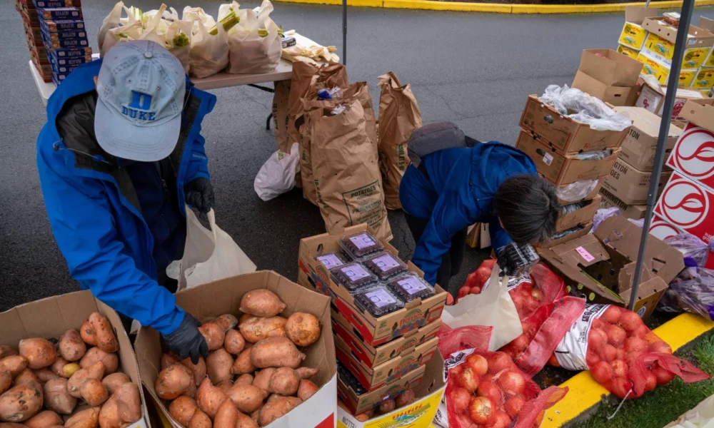 1x 1 2 Daily Global Diary - Authentic Global News