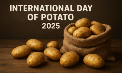 20250530 0946 Potato Celebration 2025 simple compose 01jwfpdpt9emkss1swshcbxzz7 Daily Global Diary - Authentic Global News