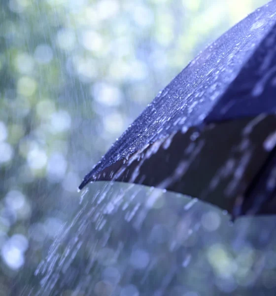 Minnesota 5‑Day Forecast Severe Storms Then Heat Wave Prepare Now