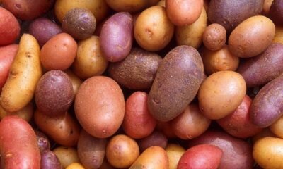 45 potato nutrition facts 1717912395 Daily Global Diary - Authentic Global News