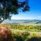 Bathurst Weather Forecast June 19 to June 23 2025