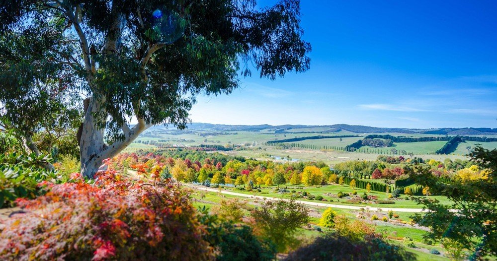 Bathurst Weather Forecast June 19 to June 23 2025