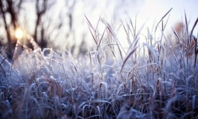 Pennsylvania 5‑Day Forecast from Storms to Summer Heat Wave Ahead