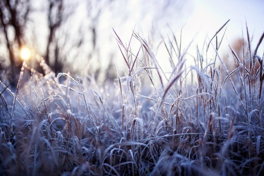 Pennsylvania 5‑Day Forecast from Storms to Summer Heat Wave Ahead