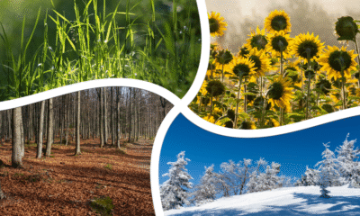 West Virginia Weather Forecast June 19 to June 23 2025