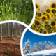 West Virginia Weather Forecast June 19 to June 23 2025