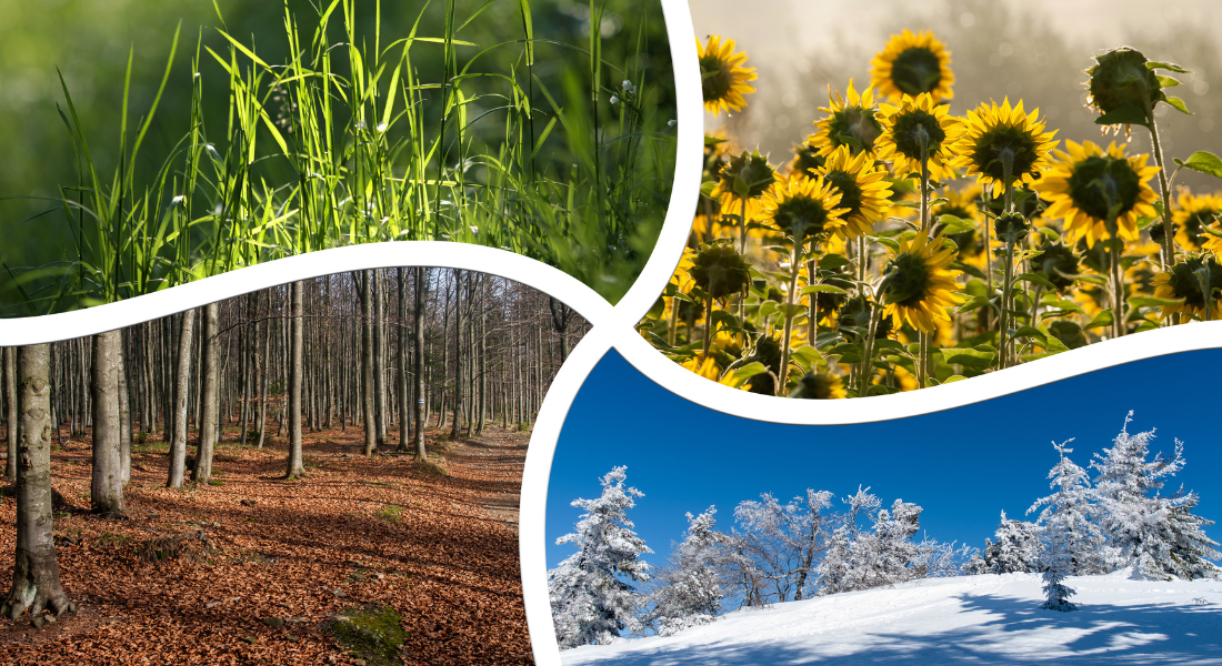 West Virginia Weather Forecast June 19 to June 23 2025