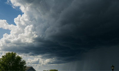 Williston Weather Forecast: Sunny Start, Windy Turns & Rain Midweek