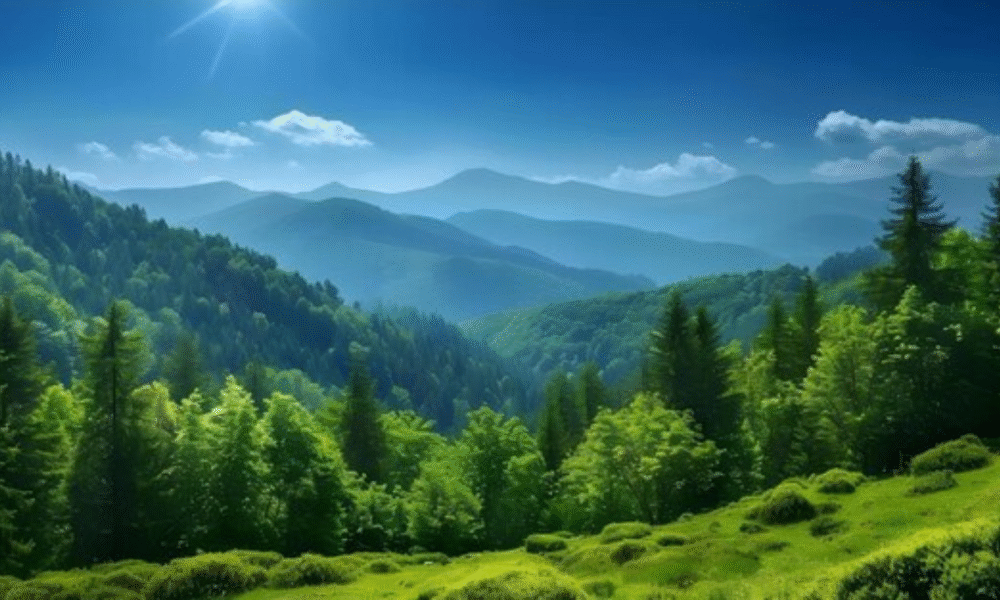 woodland-3-day-weather-forecast-sunny-breezy