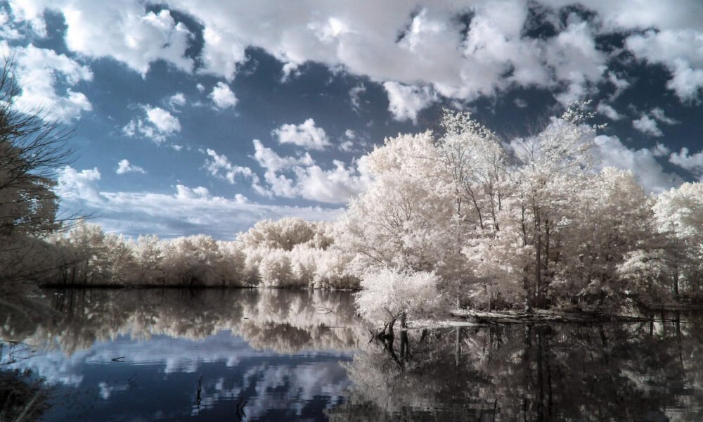 Delaware 5 Day Weather Forecast Heat Humidity and Storms Ahead