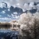 Delaware 5 Day Weather Forecast Heat Humidity and Storms Ahead