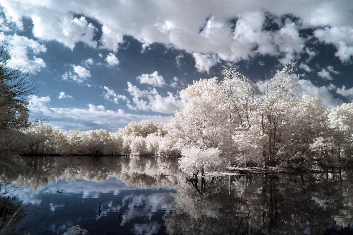 Delaware 5 Day Weather Forecast Heat Humidity and Storms Ahead
