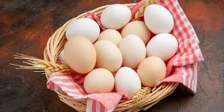 Eggs Daily Global Diary - Authentic Global News