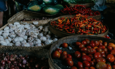 Featured Image 4 Daily Global Diary - Authentic Global News