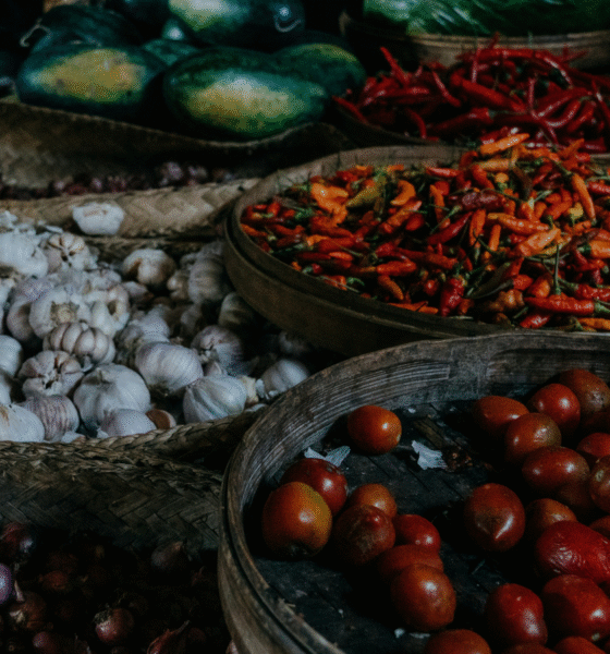 Featured Image 4 Daily Global Diary - Authentic Global News