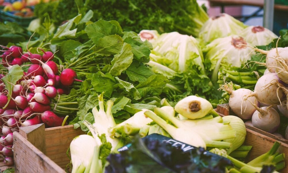 Food safety World Food Safety Day Trump Vance FDA USAID 1 Daily Global Diary - Authentic Global News