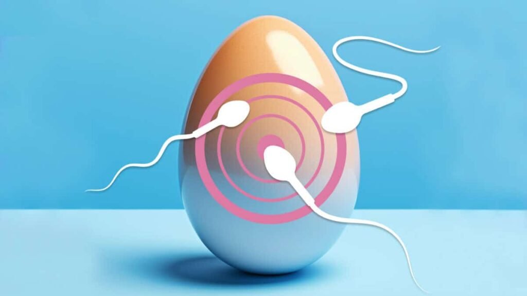 How to improve egg quality title 1200x675 1 Daily Global Diary - Authentic Global News