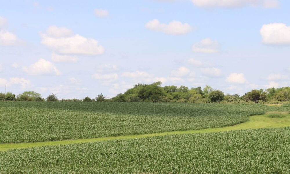 Iowa 5‑Day Forecast Storms Then Sizzling Heat Ahead Stay Ahead