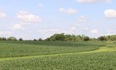 Iowa 5‑Day Forecast Storms Then Sizzling Heat Ahead Stay Ahead