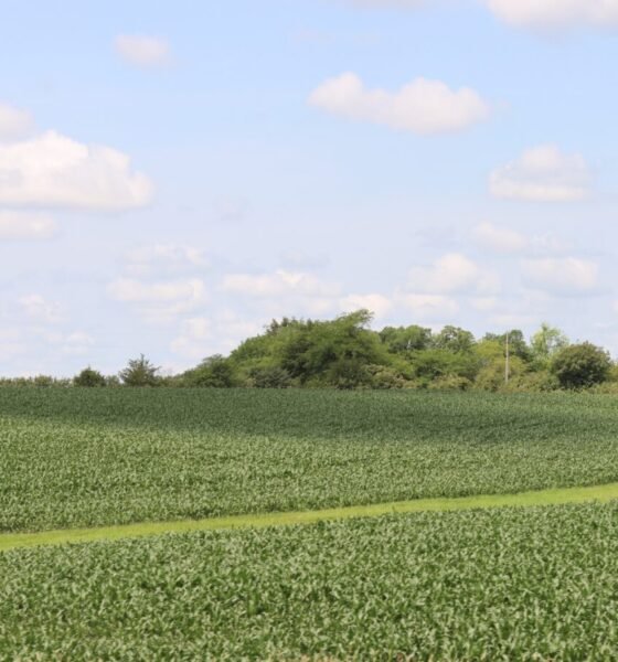 Iowa 5‑Day Forecast Storms Then Sizzling Heat Ahead Stay Ahead