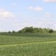 Iowa 5‑Day Forecast Storms Then Sizzling Heat Ahead Stay Ahead
