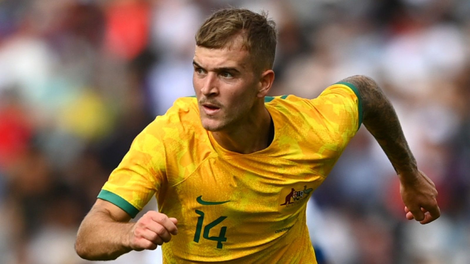 Riley McGree Daily Global Diary - Authentic Global News