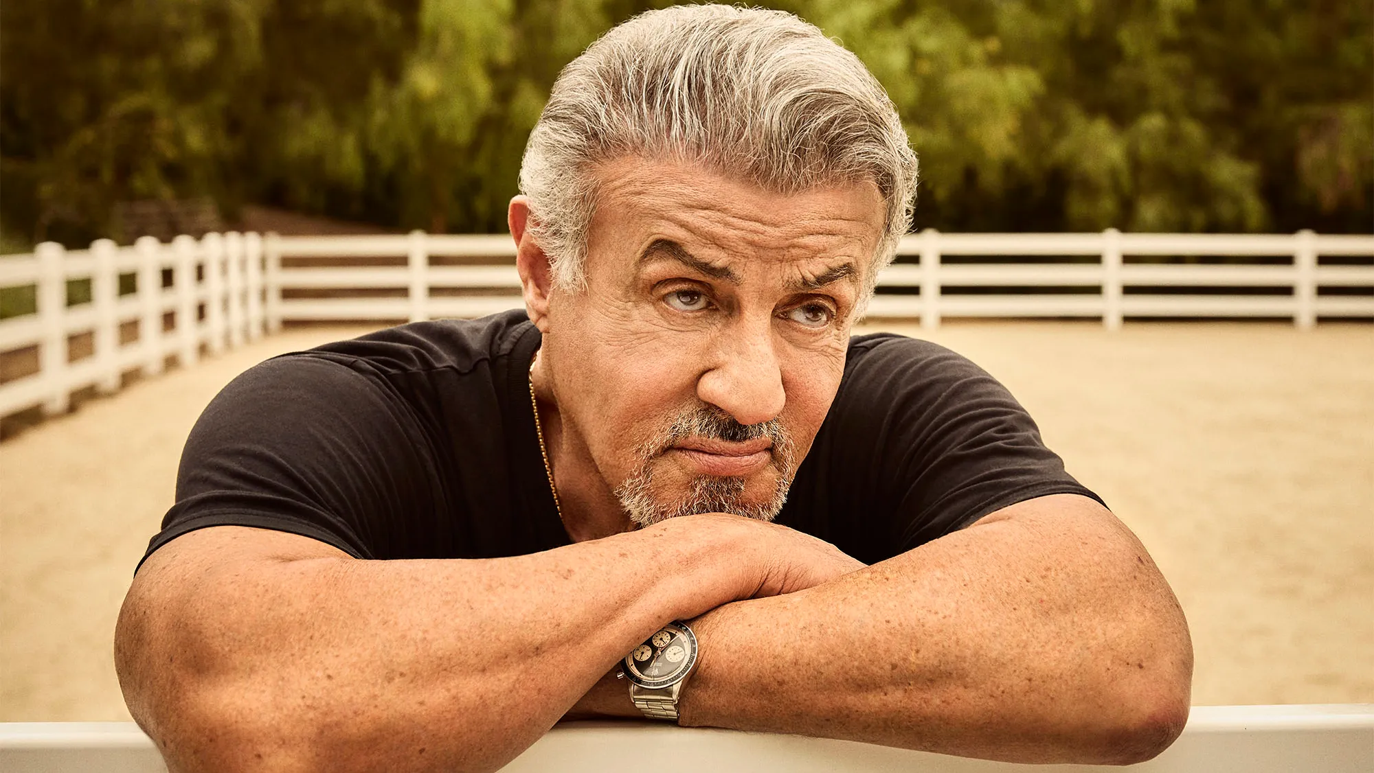 Sylvester Stallone Net Worth 2025 How Rocky Became a $450 Million Hollywood Titan