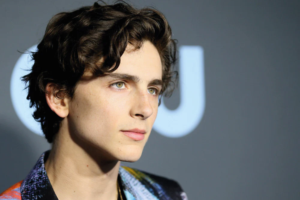 Timothee Chalamet face Daily Global Diary - Authentic Global News
