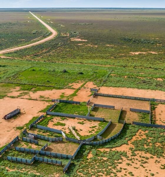 Balranald Weather Forecast June 19 to June 23 2025