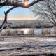 Glen Innes Weather Forecast June 19–23, 2025: Sunshine, Breezes & a Hint of Frost
