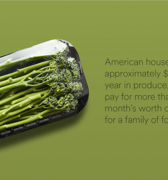 Perfectly edible but destined for trash: America’s food waste crisis continues to grow in 2025 despite hunger at home.