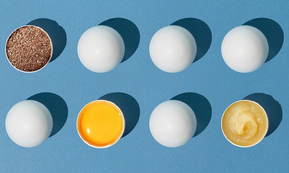 egg shutterstock 2263392075 Daily Global Diary - Authentic Global News