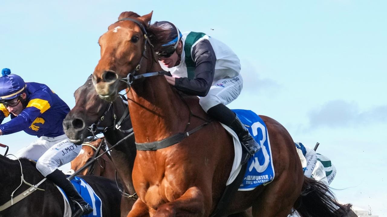 f09305b2166e34736840fbd0ee36eb87 Daily Global Diary - Authentic Global News