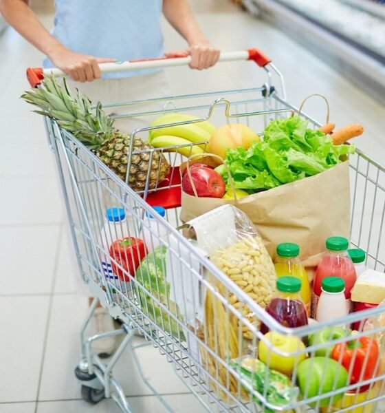 Everyday essentials costing more: US families adjust shopping habits as food prices continue to climb