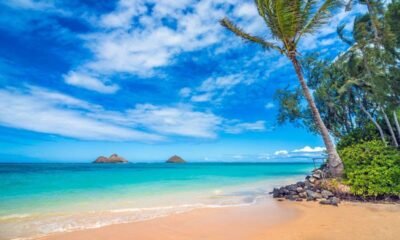 Hawaii 5‑Day Forecast Breezy Skies and Spotty Showers Ahead