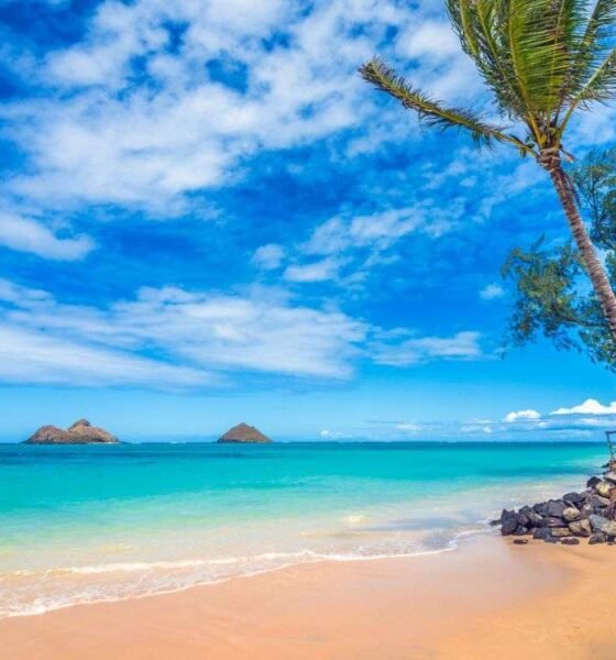 Hawaii 5‑Day Forecast Breezy Skies and Spotty Showers Ahead