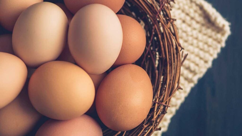 health benefits of eggs 1296x728 feature Daily Global Diary - Authentic Global News