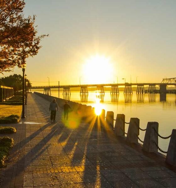 South Carolina 5 Day Forecast Heat Storms and Sunshine