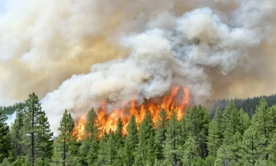 web photo template onecms 1000 x 563 px 55 Daily Global Diary - Authentic Global News