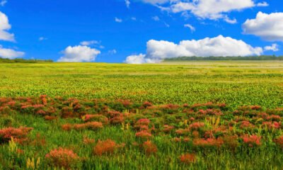 Wisconsin Weather Forecast June 19 to June 23 2025
