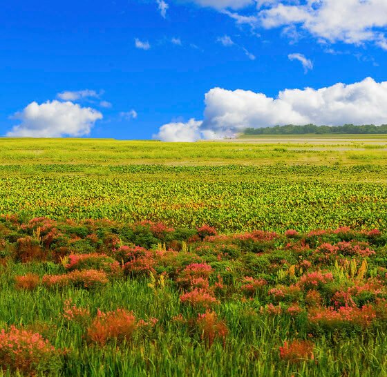 Wisconsin Weather Forecast June 19 to June 23 2025