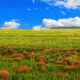Wisconsin Weather Forecast June 19 to June 23 2025