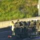Truck Crash on Melbourne’s Monash Freeway Leaves Driver Critical, Sparks City-Wide Traffic Chaos