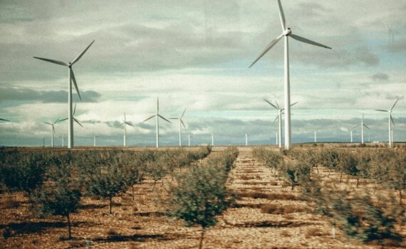 APG’s $1 Billion Investment in Octopus Australia’s Renewable Energy Platform