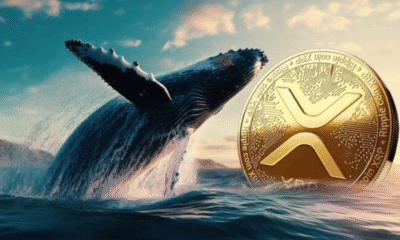 XRP Whales Hit All-Time High as Price Surges 10% in 24 Hours