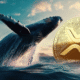 XRP Whales Hit All-Time High as Price Surges 10% in 24 Hours