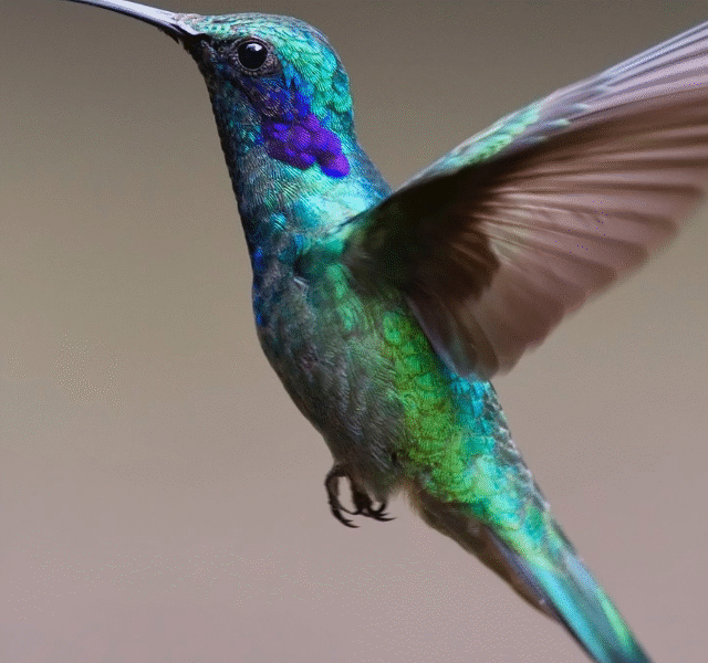 These 5 Species Are Facing a Silent Extinction