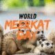 World Meerkat Day 2025: Scientists reveal why meerkats are the bravest mammals alive